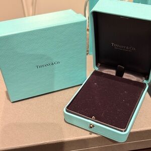 Tiffany & Co. Turquoise Jewelry Box, earrings